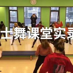 成人小课舞蹈视频大全,精选成人小课舞蹈视频大全解析
