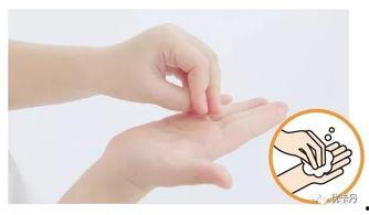 成人日常洗手视频,掌握正确洗手步骤，守护健康生活