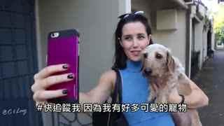 成人掉进猩猩园里视频播放,成人意外跌入猩猩园，视频记录惊心动魄一幕